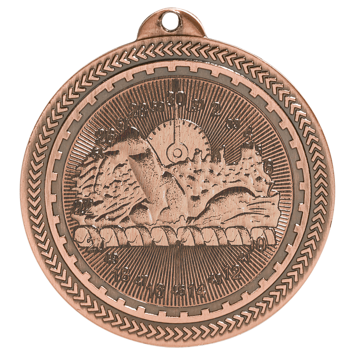 Swimming BriteLazer Medal-Bronze - AKD Ink