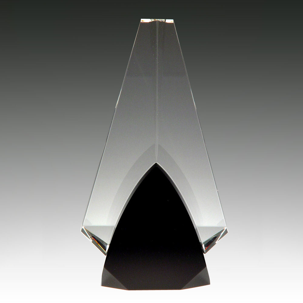 Solid Partners premium recognition award