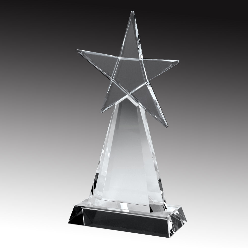 Evolving Star premium recognition award