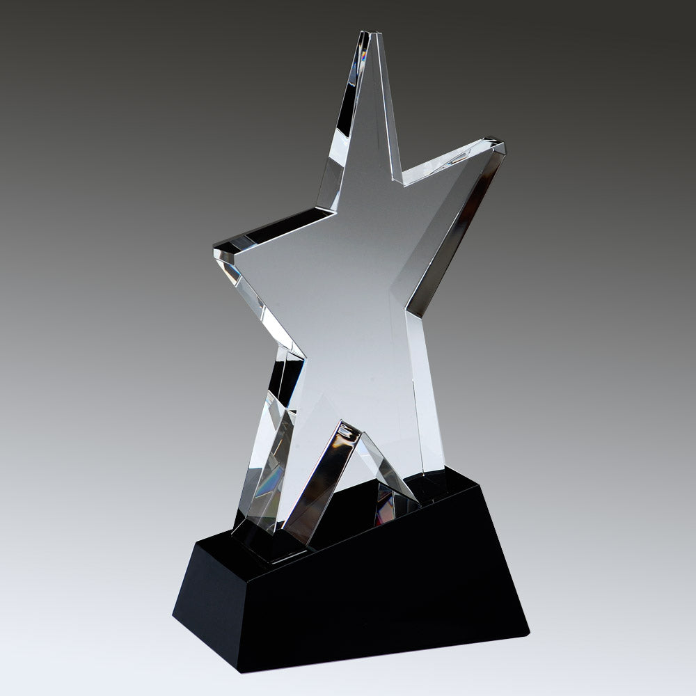 Super Star premium recognition award