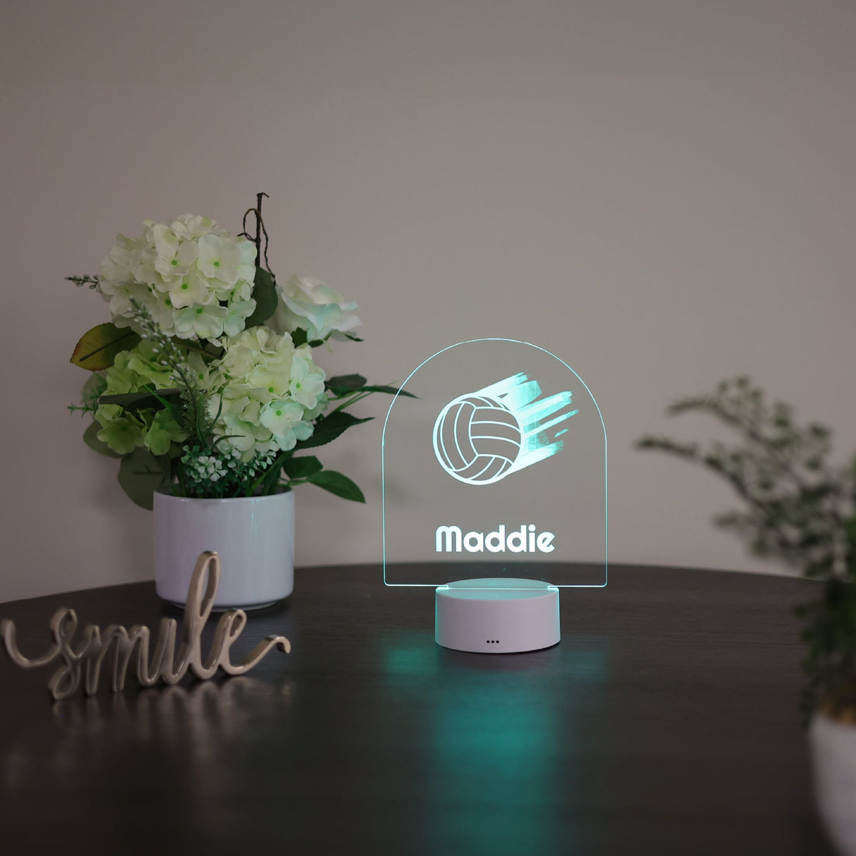 mr.BriteSign Volleyball in Motion - AKD Ink