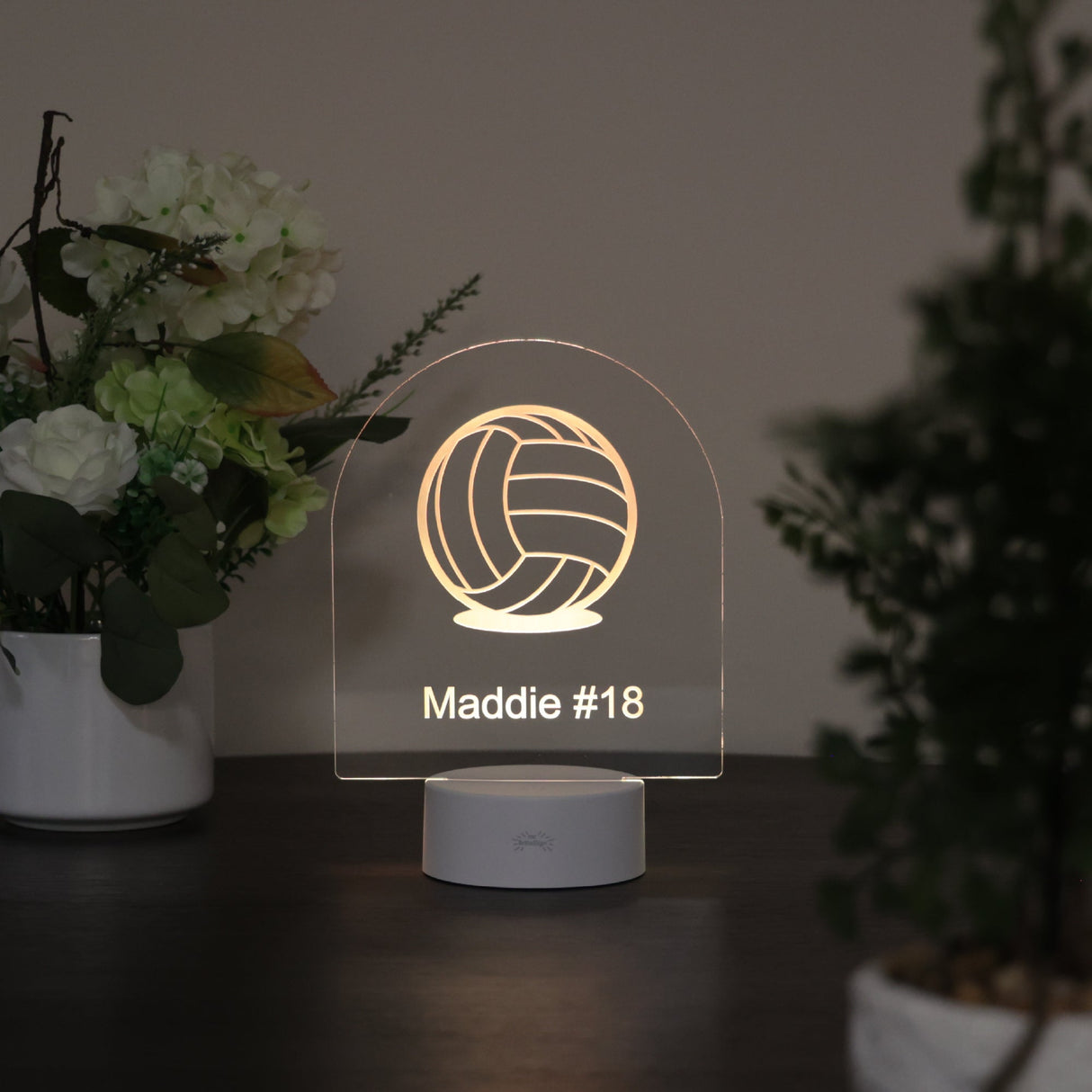 mr.BriteSign Volleyball - AKD Ink