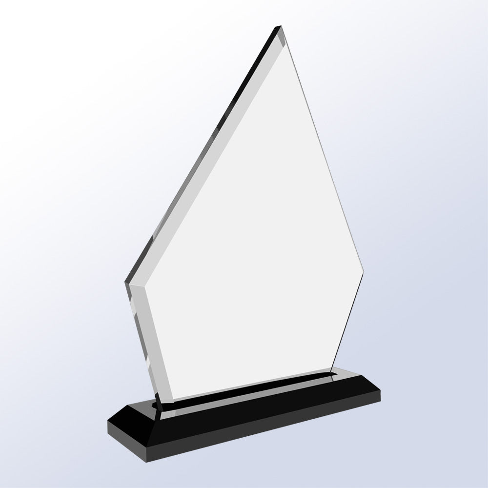 Revive premium recognition award