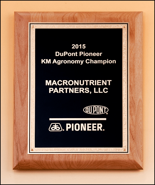 Alder & Cherry Wood Plaques-AKD Ink