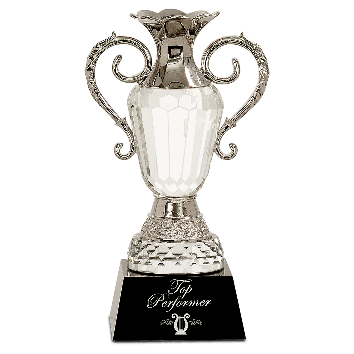 Crystal Cup with Silver Metal Handles-AKD Ink