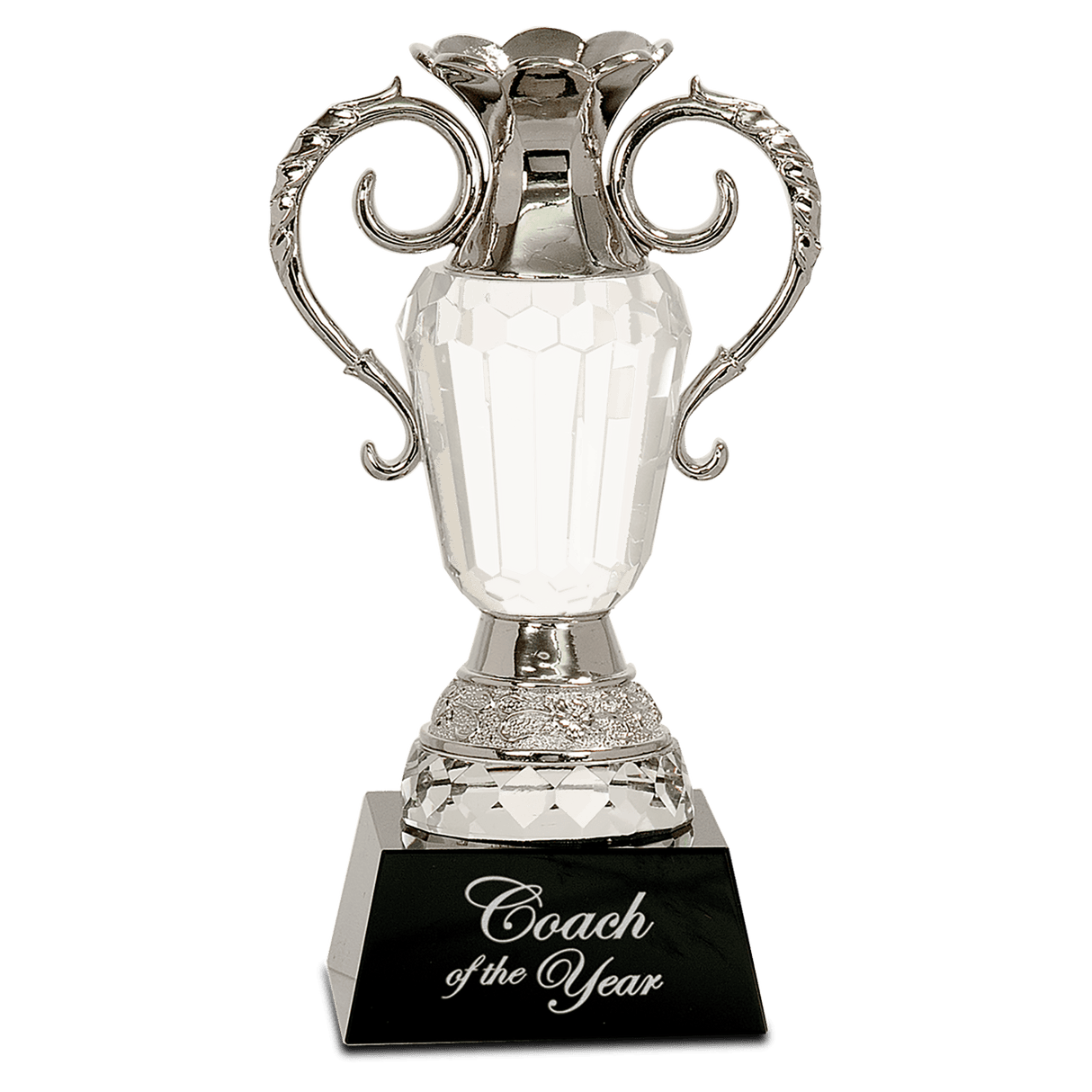 Crystal Cup with Silver Metal Handles-AKD Ink