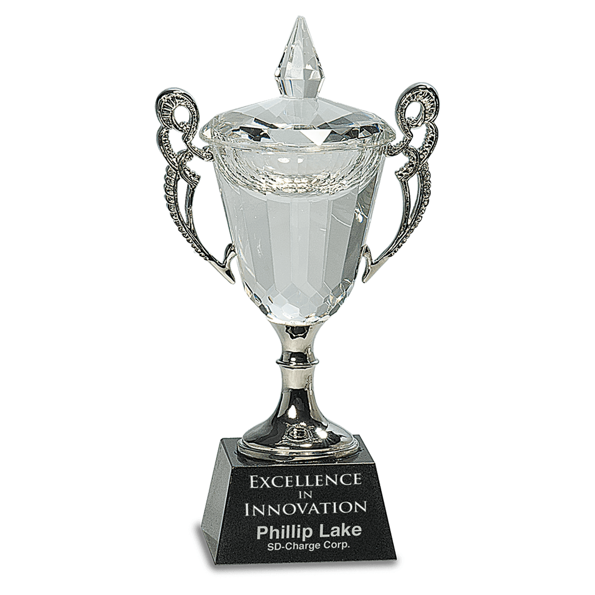 Clear crystal cup with silver handles and stem, elegant design by AKD Ink, perfect for serving beverages.