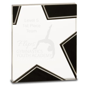 Large Silver and Star Glass-AKD Ink