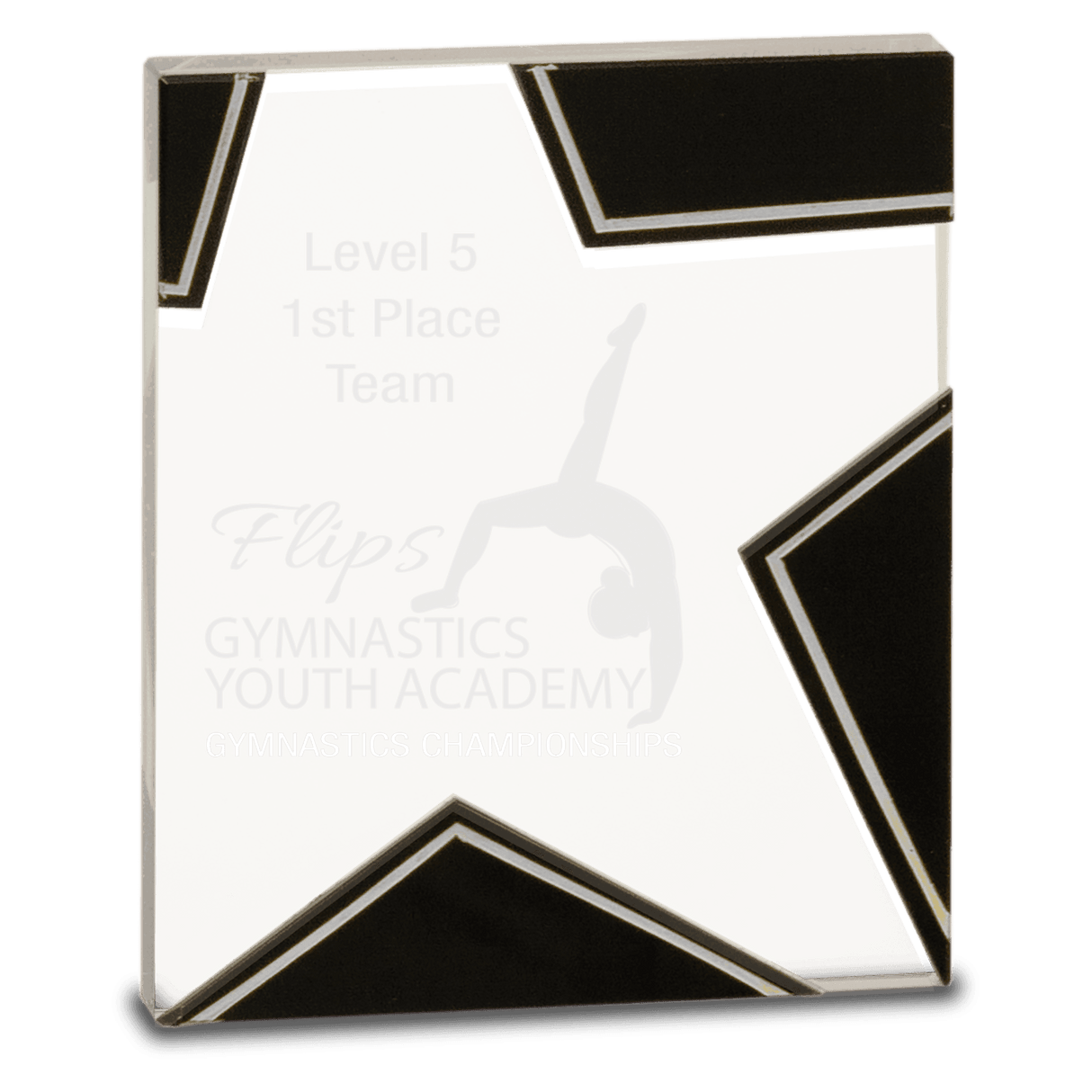 Large Silver and Star Glass-AKD Ink