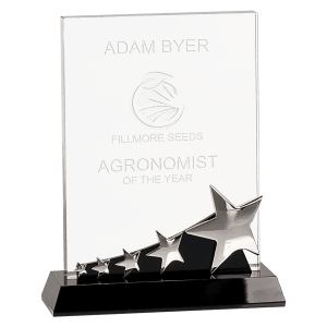 Large Rectangle Crystal with Silver Stars on Pedestal Base-AKD Ink