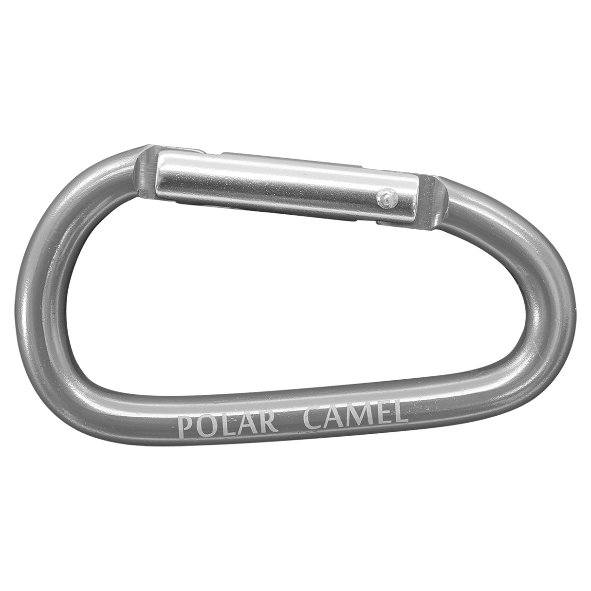 Polar Camel Water Bottle Carabiner-AKD Ink