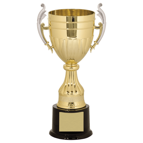 Gold Plastic Cup-11"-AKD Ink