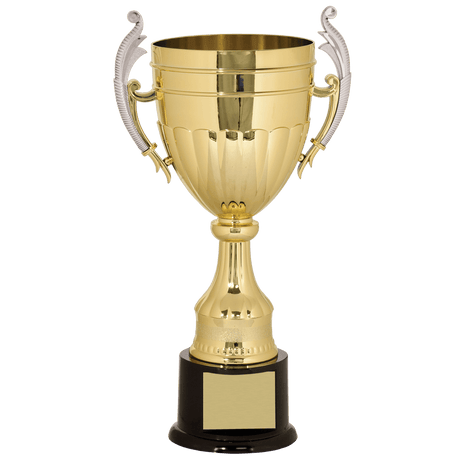 Gold Plastic Cup-11"-AKD Ink