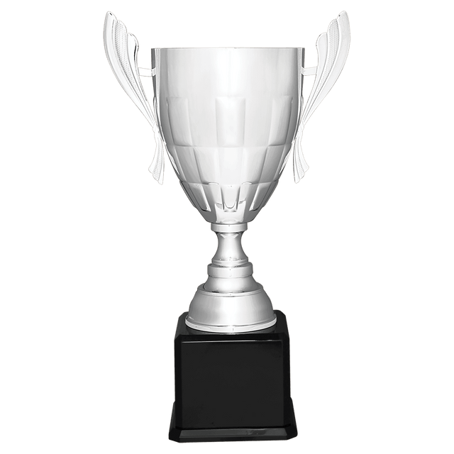 Silver Metal Cup-26 1/2"-AKD Ink