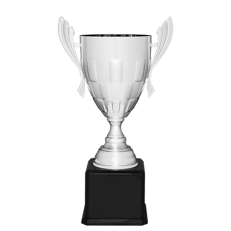 Silver Metal Cup-26 1/2"-AKD Ink