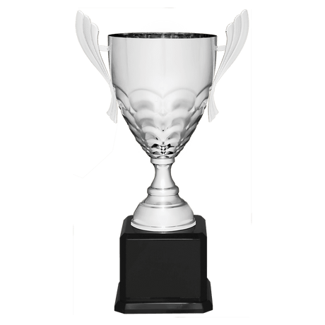 Silver Metal Cup-26 1/2"-AKD Ink
