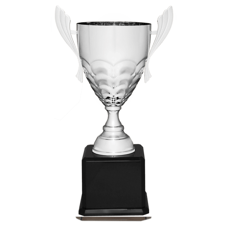 Silver Metal Cup-26 1/2"-AKD Ink