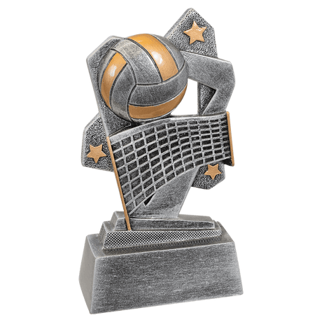 Volleyball Triumph Resin-AKD Ink
