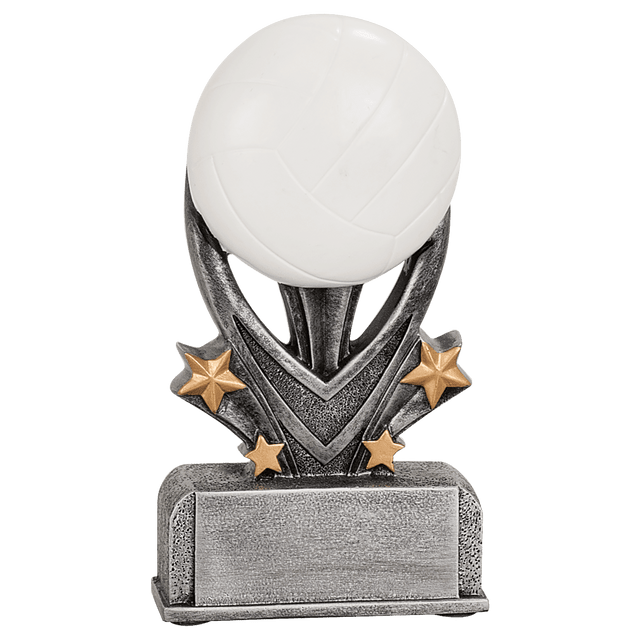 Volleyball Varsity Sport Resin-5 1/2"-AKD Ink