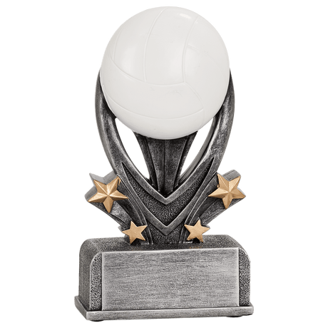 Volleyball Varsity Sport Resin-5 1/2"-AKD Ink