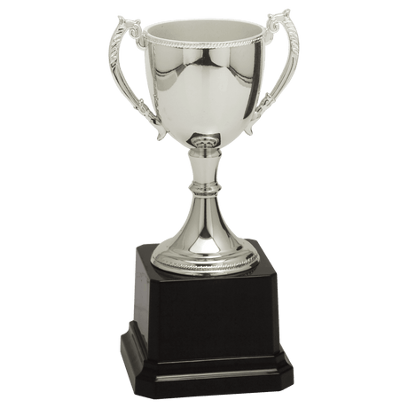 Silver Zinc Cup-6 3/4"-AKD Ink