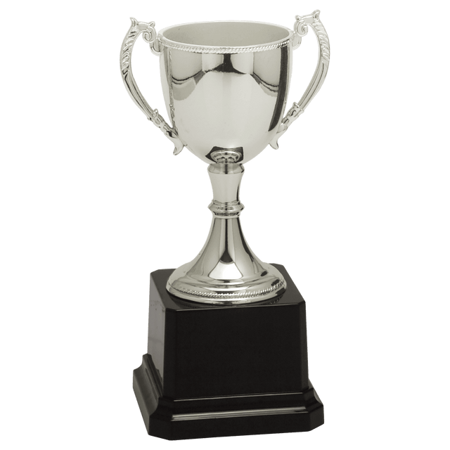 Silver Zinc Cup-6 3/4"-AKD Ink