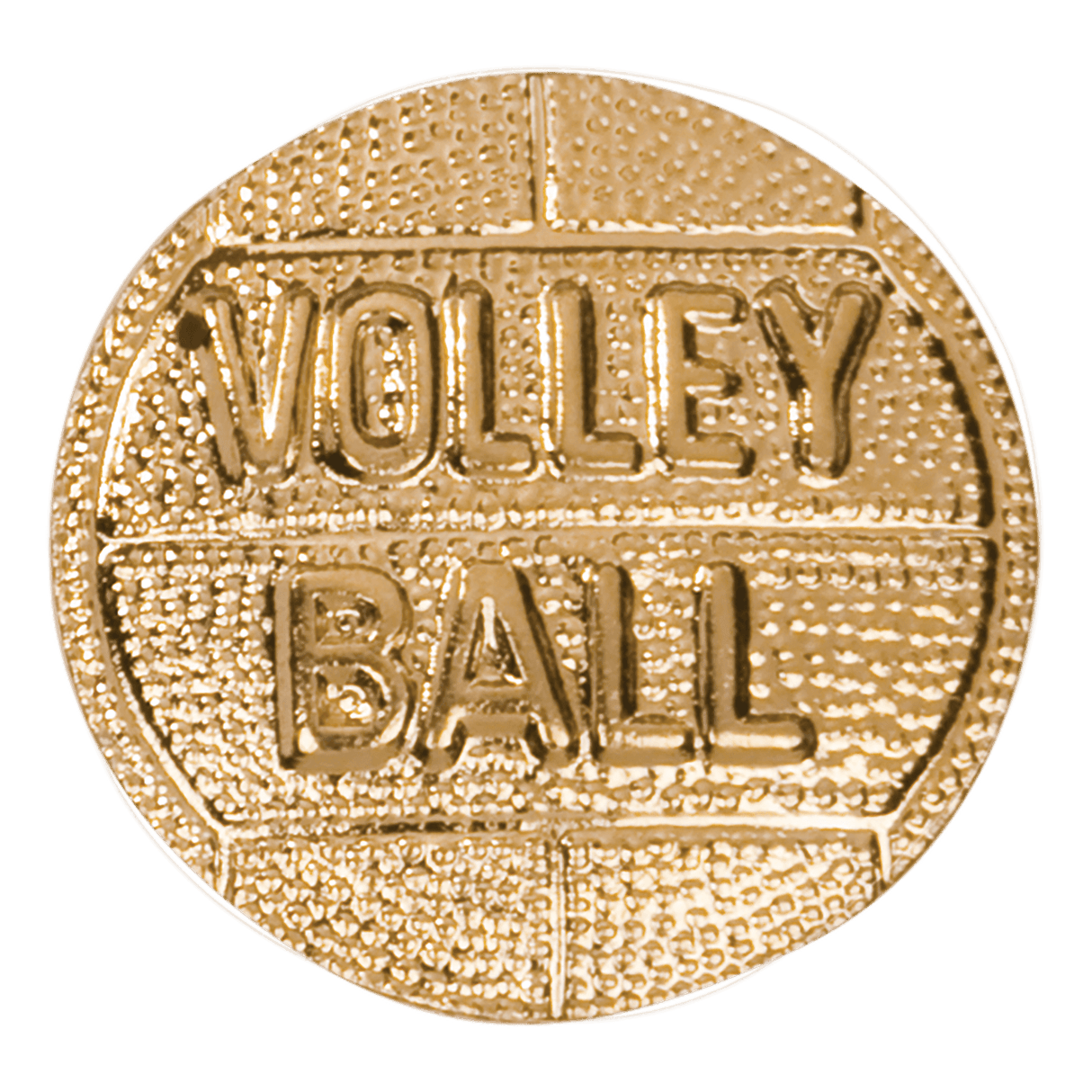 Volleyball Chenille Pin-AKD Ink