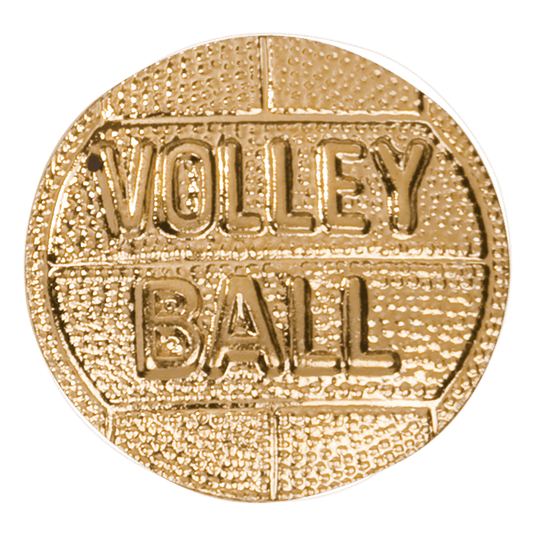 Volleyball Chenille Pin-AKD Ink