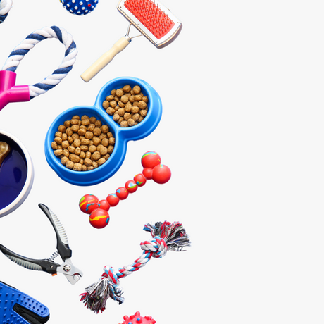 Personalized Pet Products for Your Furry Friends