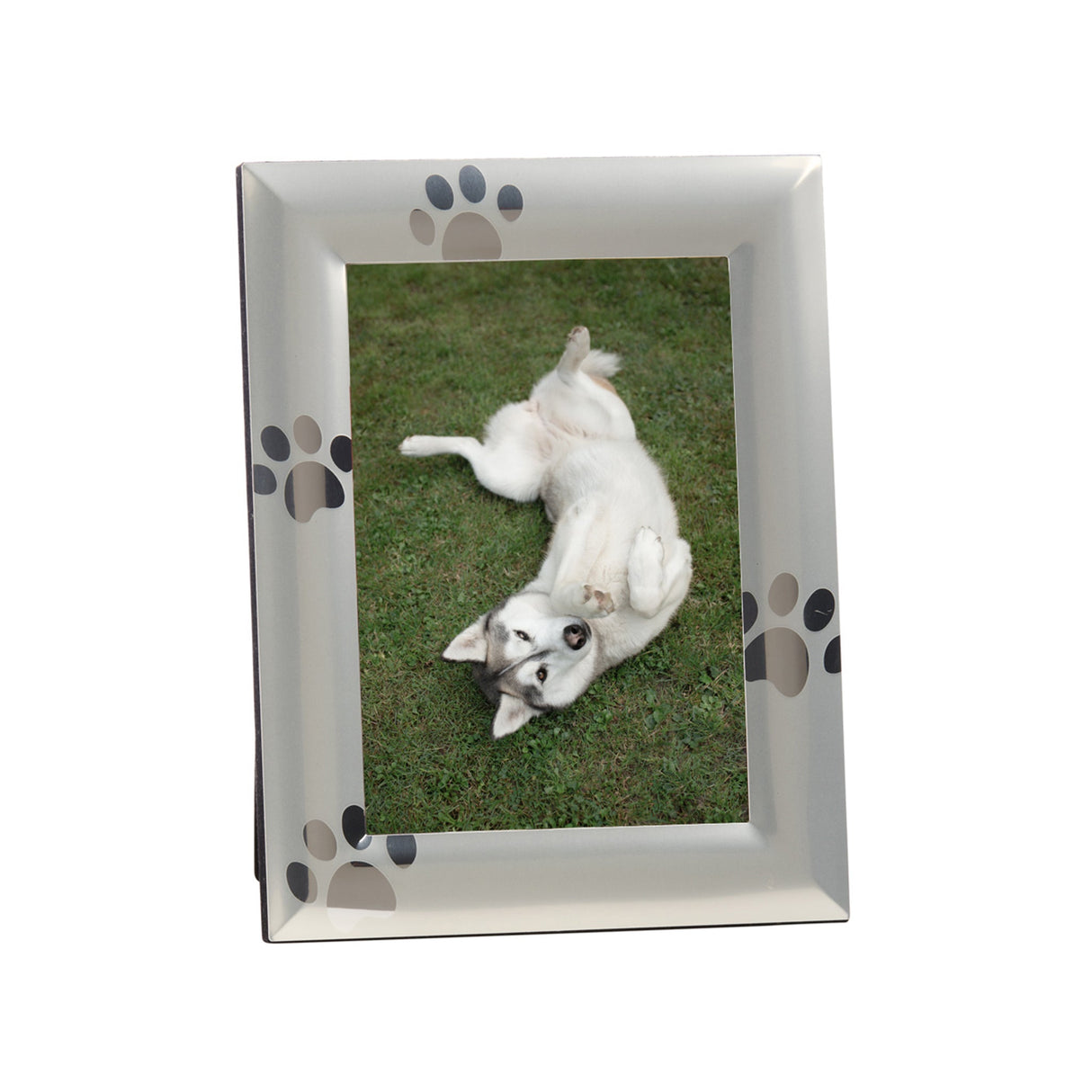 Paw Print Design Frame - 5x7