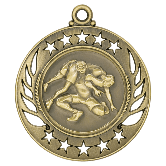 Wrestling Galaxy Medal-Gold