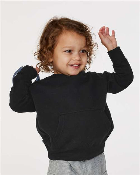 Toddler Special Blend Hooded Raglan Sweatshirt - AKD Ink