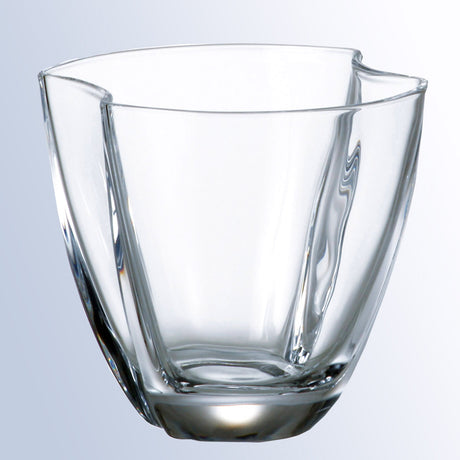 Nemo Tumbler premium recognition award