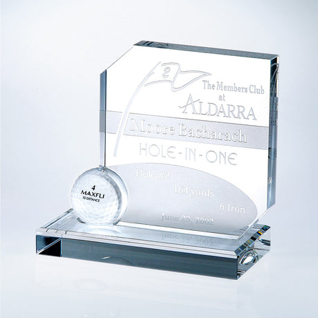 Hole in One Award premium recognition award