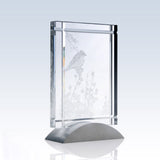 Deco Award (Clear) premium recognition award