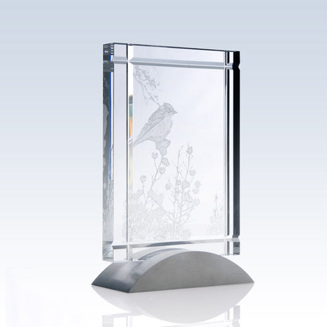Deco Award (Clear) premium recognition award