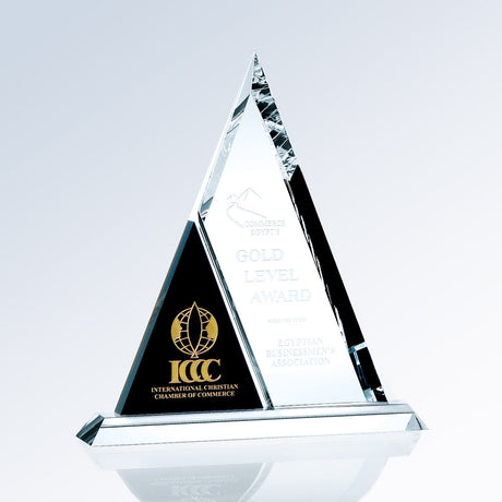 Duet Triangle premium recognition award