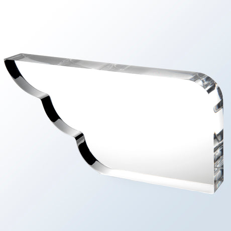 Acrylic Wing premium recognition award