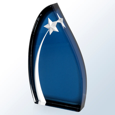 Acrylic Oval Star premium recognition award