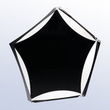 Black Luminary Sable Star Award premium recognition award