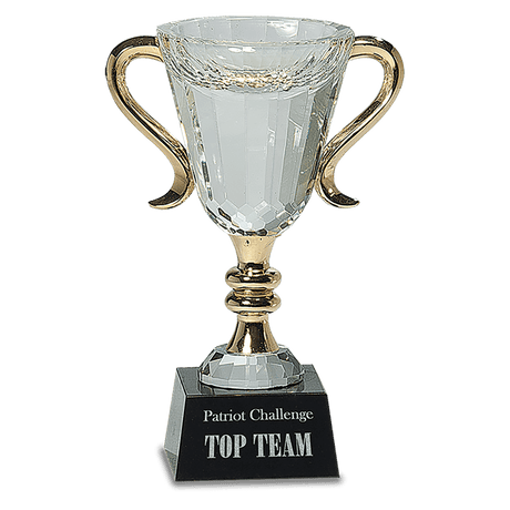 Crystal Cup with Gold Handles and Stem-AKD Ink