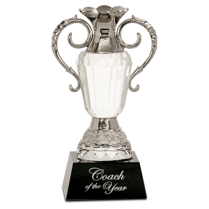 Crystal Cup with Silver Metal Handles-AKD Ink