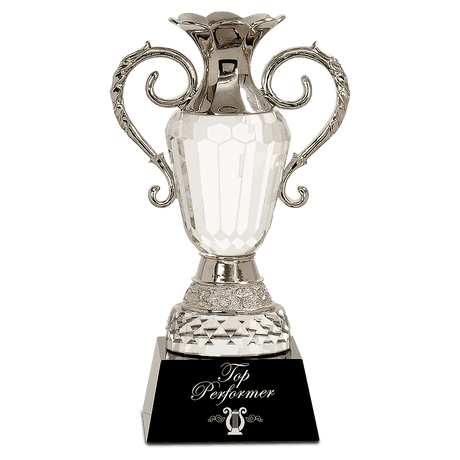 Crystal Cup with Silver Metal Handles-AKD Ink
