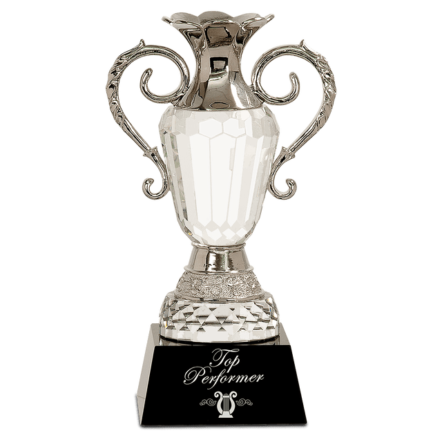 Crystal Cup with Silver Metal Handles-AKD Ink