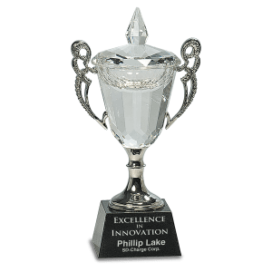 Crystal Cup with Silver Handles and Stem-AKD Ink