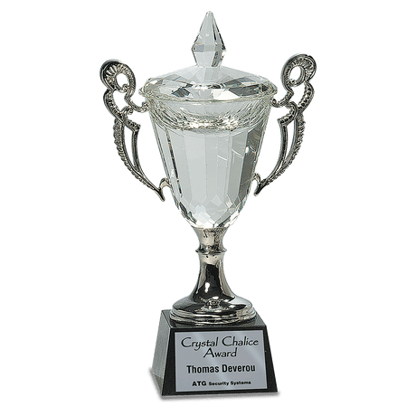 Crystal Cup with Silver Handles and Stem-AKD Ink