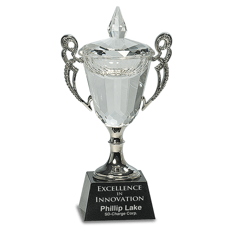 Crystal Cup with Silver Handles and Stem-AKD Ink