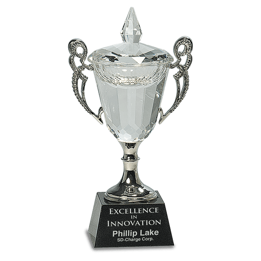 Crystal Cup with Silver Handles and Stem-AKD Ink