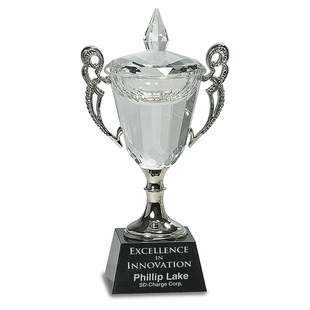 Crystal Cup with Silver Handles and Stem-AKD Ink