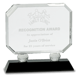 Medium Rectangle Crystal on  Pedestal Base-AKD Ink